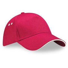 Lippikset